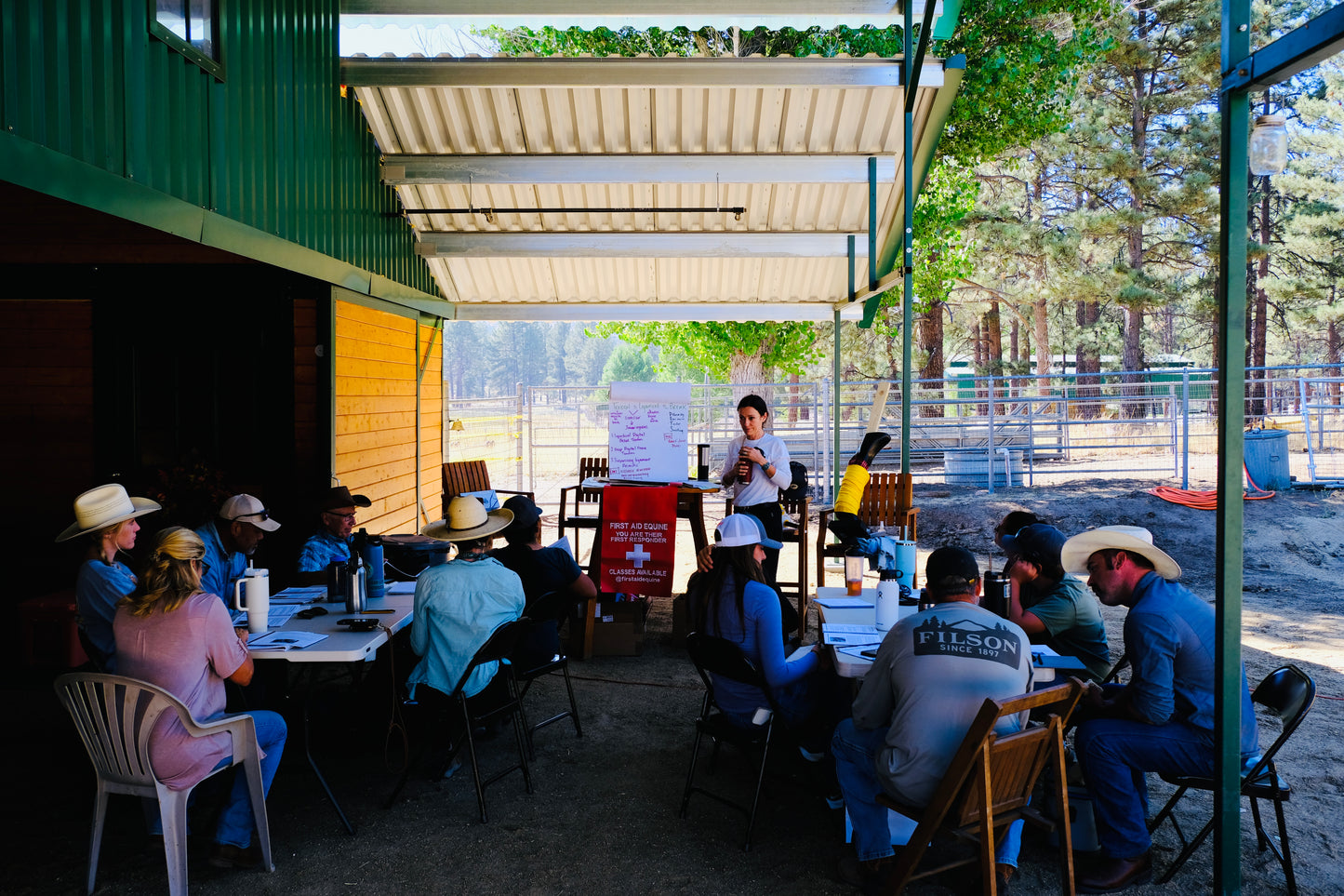 Equine First Aid - Spring 2026 Westcliffe, CO