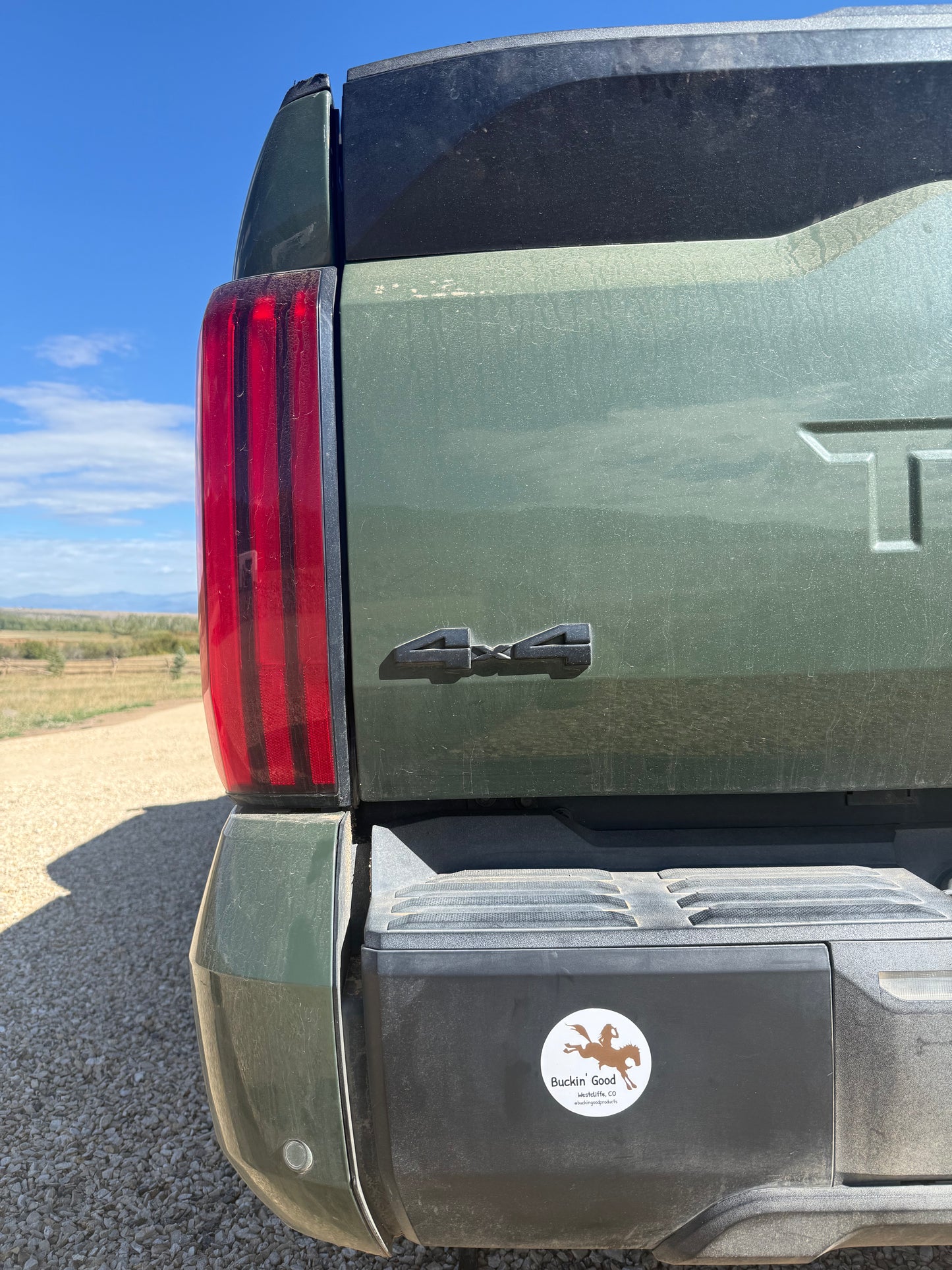 Buckin' Good Sticker